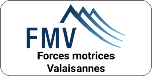 FMVs